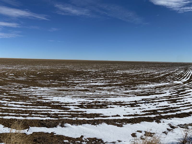 Dryland Farm Online Auction : Limon : Lincoln County : Colorado