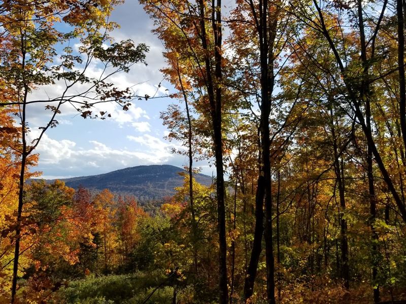Dolly Mountain Tract : Byron : Oxford County : Maine