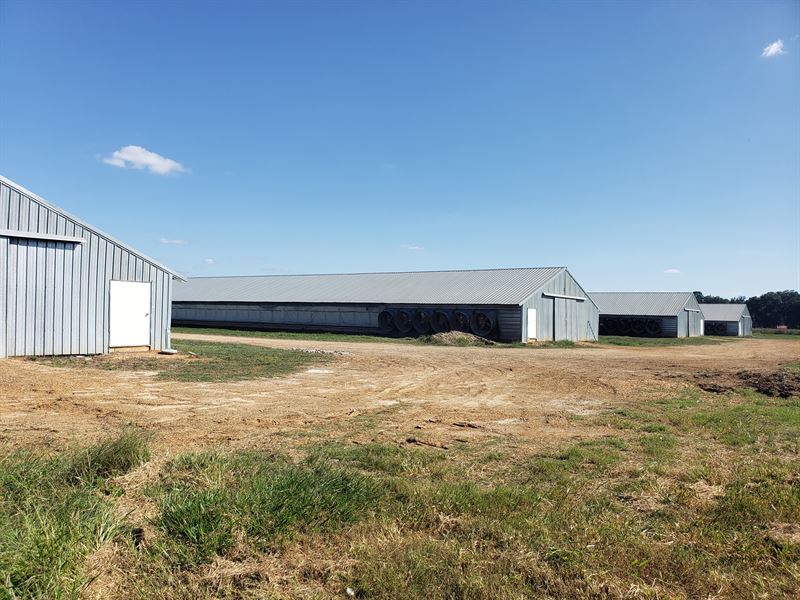 4 Sanderson Poultry Breeder Houses : Quitman : Brooks County : Georgia