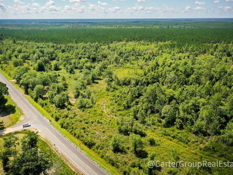 Perfect Small Town Homesite : Screven : Wayne County : Georgia