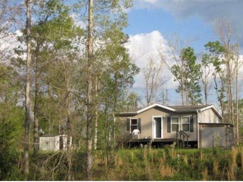 Great Home Or Camp & 20 Acres : Woodville : Wilkinson County : Mississippi