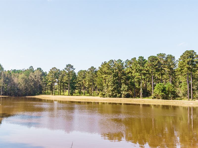 Watson Road Farm : Metter : Candler County : Georgia