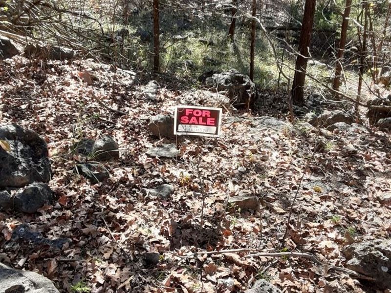 RV Cabin Tiny Home Off Grid Lot 23 : Henderson : Baxter County : Arkansas