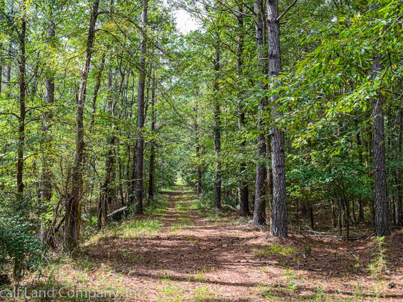50 Acres Near Whitestone with Creek : Pacolet : Spartanburg County : South Carolina