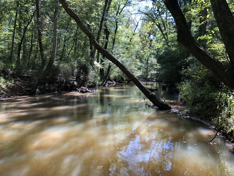 Little River Hunting & Timber : Crawfordville : Taliaferro County : Georgia