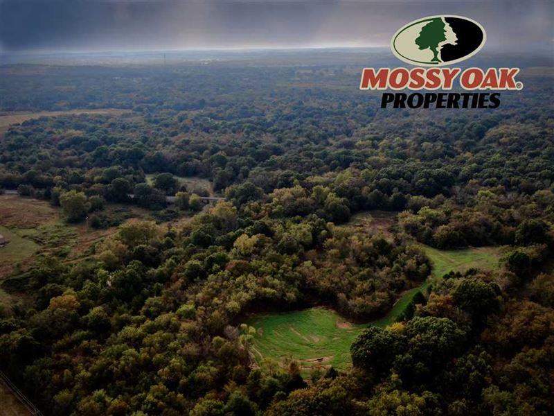 Deer Paradise, Turnkey Hunting : Wetumka : Hughes County : Oklahoma