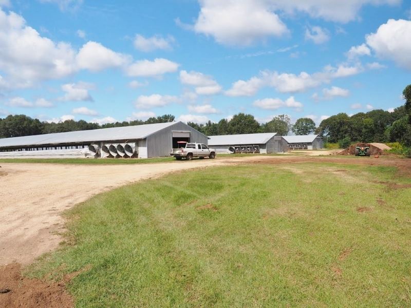 Breeder Poultry Farm, 2 Homes : Kokomo : Marion County : Mississippi