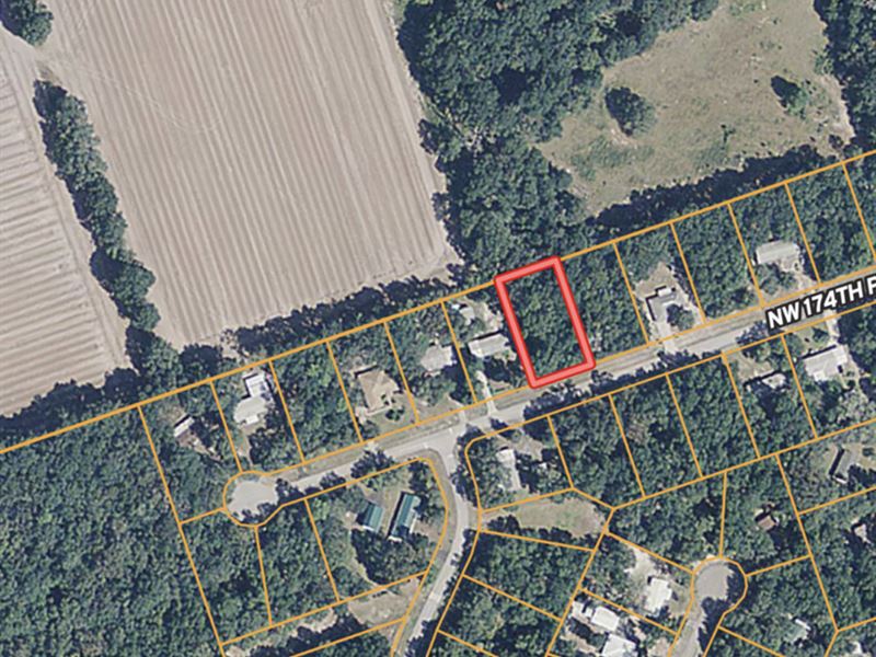 Silver Oaks Subdivision : Fanning Springs : Levy County : Florida
