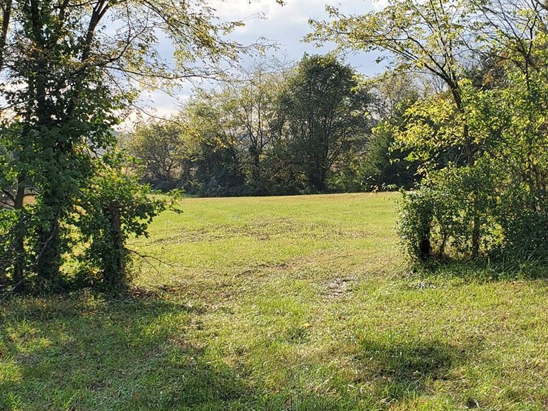 5.32 Acre Lot Franklin Kentucky : Franklin : Simpson County : Kentucky