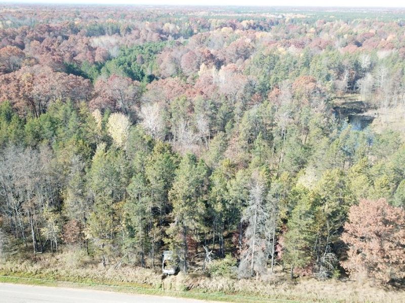 60 Acre Parcel in Adams County WI : Adams : Adams County : Wisconsin