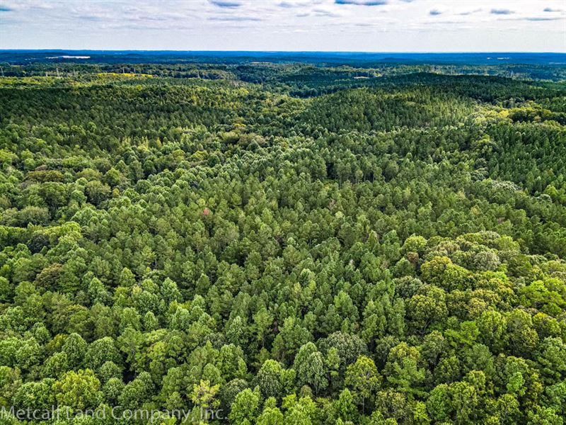 8 Acre Wooded Homesite : Spartanburg : Spartanburg County : South Carolina