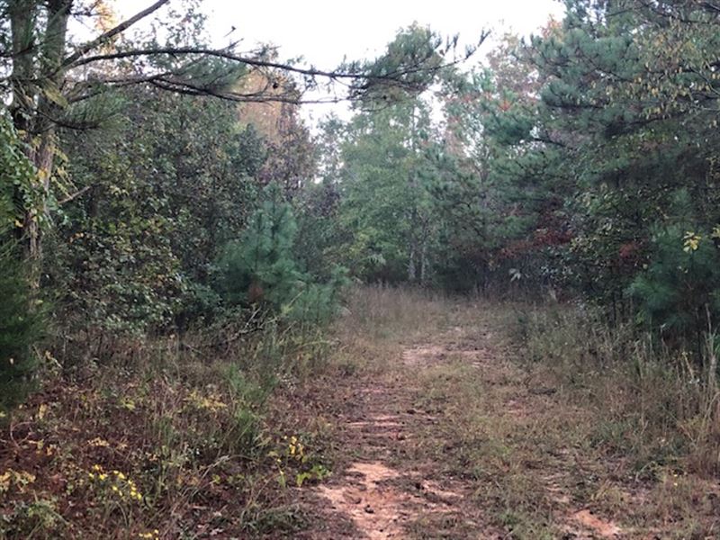 15.125+- Acres in Taylorsville : Taylorsville : Bartow County : Georgia