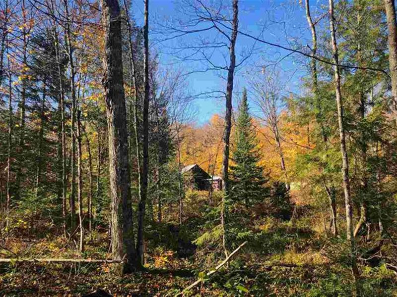 Prized Desirable Acres : Nisula : Houghton County : Michigan