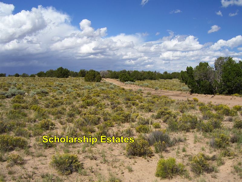 Live Your Off Grid Dream in Arizona : Sanders : Apache County : Arizona