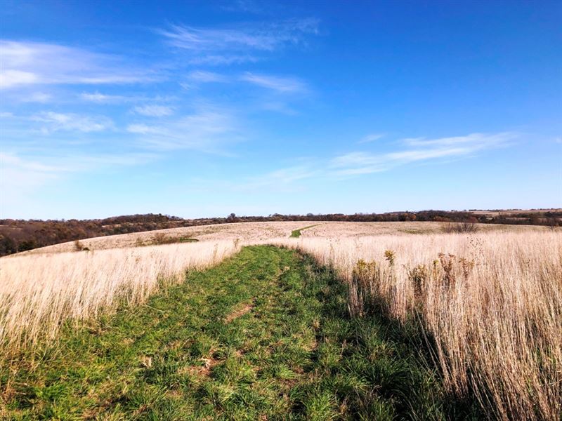 98.33 +/- Acres Pikes Peak Rd : Potosi : Grant County : Wisconsin