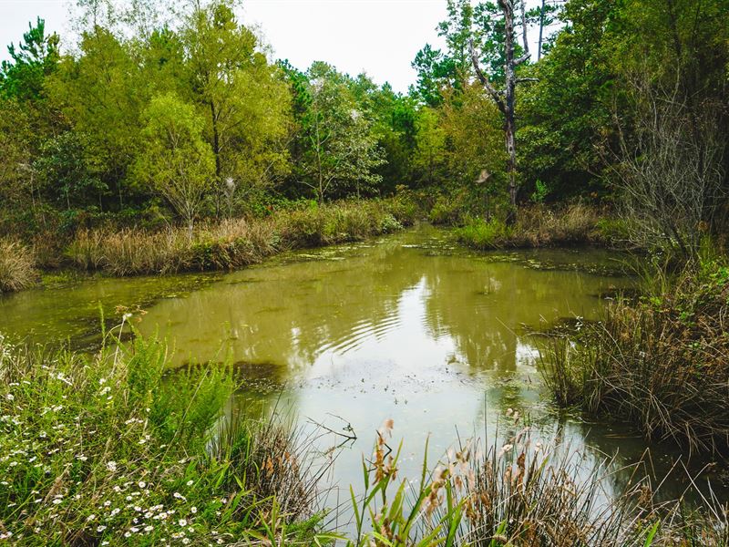 Land for Sale Wilburton, OK : Wilburton : Latimer County : Oklahoma