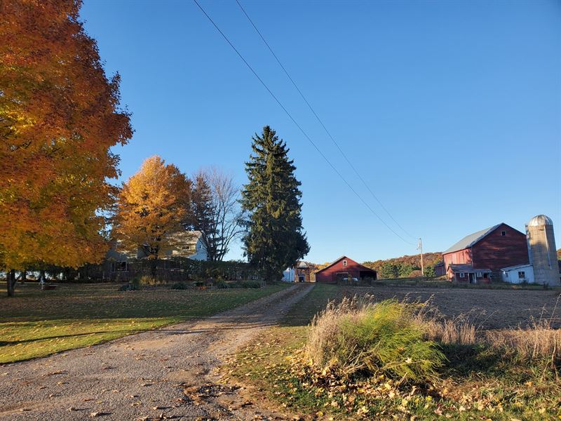 Hobby Farm Acreage Central WI : Scandinavia : Waupaca County : Wisconsin