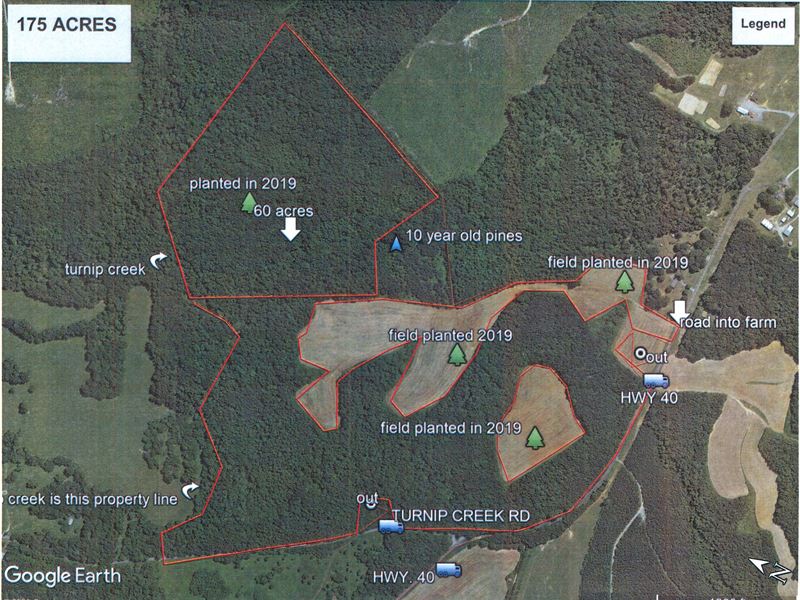 Growing Investment : Brookneal : Charlotte County : Virginia
