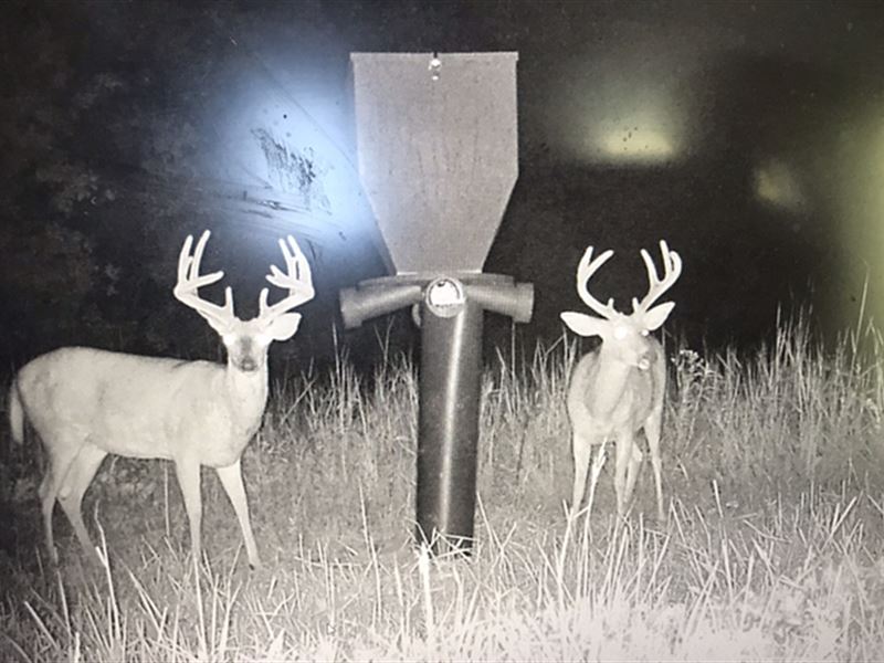 Tillable Land & Excellent Hunting : Burlingame : Osage County : Kansas