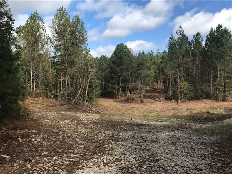 73 Acres, Cabin Sites & Private : Odenville : Saint Clair County : Alabama