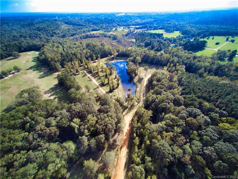 SC Land with Lake for Auction : Chesterfield : Chesterfield County : South Carolina