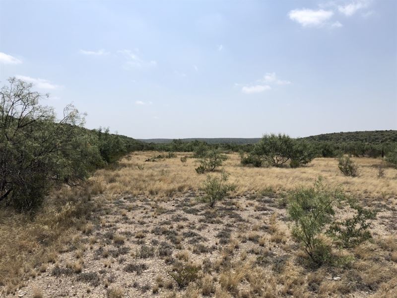 Osman Canyon 12 : Langtry : Val Verde County : Texas