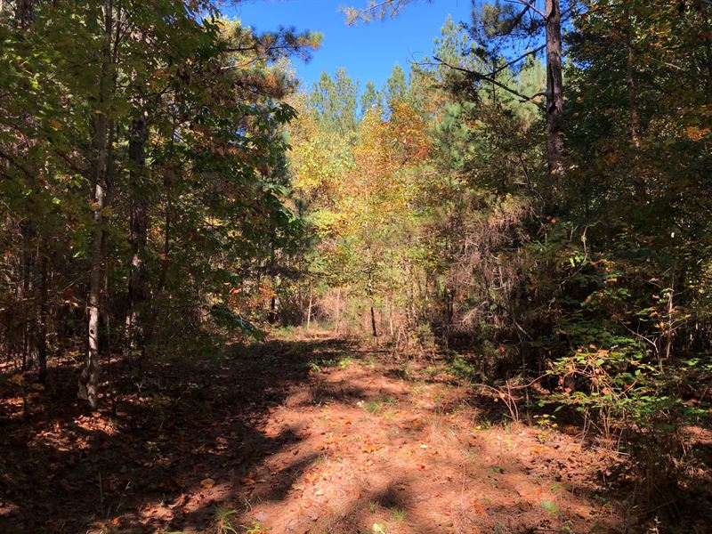 Westminster Mountain Homesite : Westminster : Oconee County : South Carolina