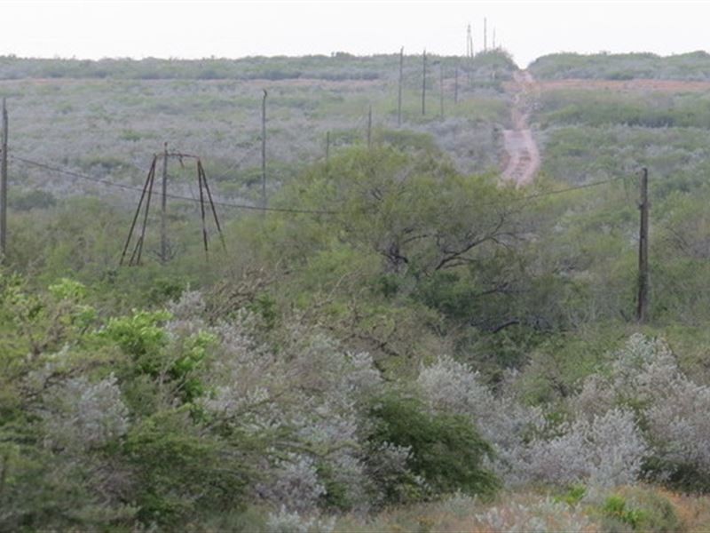 Honey Creek 7 with Electricity : San Diego : Duval County : Texas