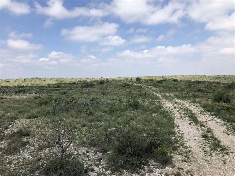 Osman Canyon 25 : Langtry : Val Verde County : Texas