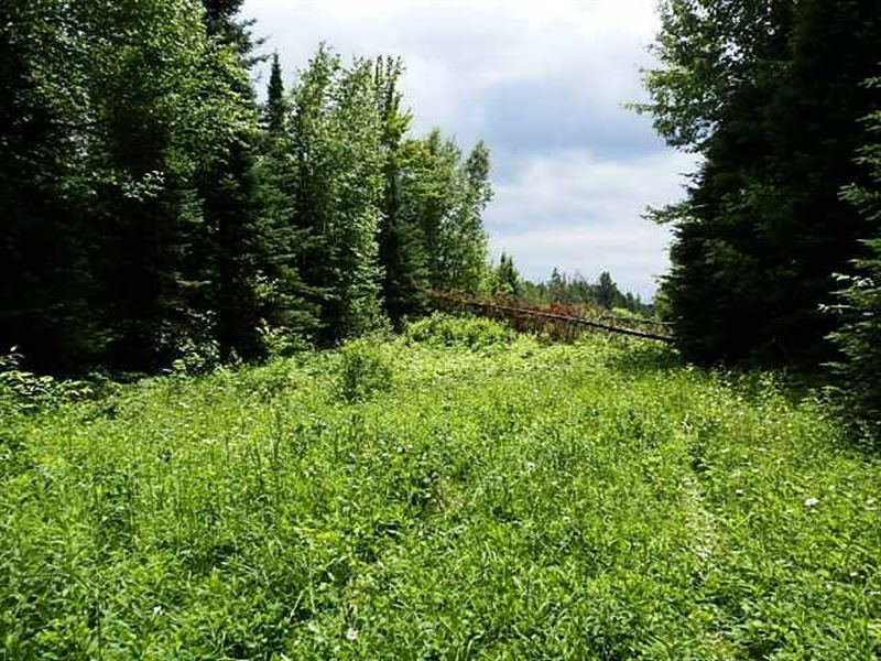 Rare 336 Acre Parcel : Worcester : Price County : Wisconsin
