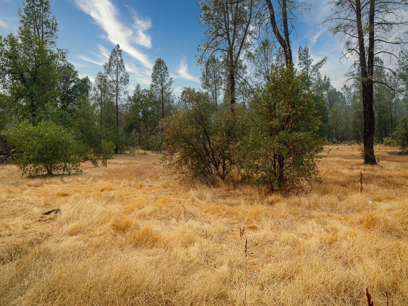 1.0 Acre Residential Lot Lake Blvd : Redding : Shasta County : California