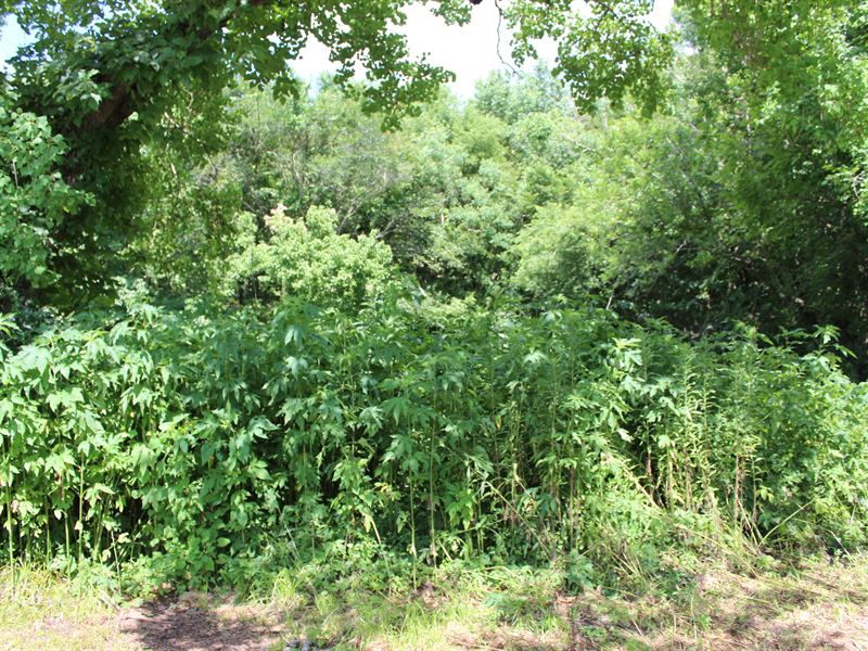 .38 Acres in Mabank, TX : Mabank : Henderson County : Texas