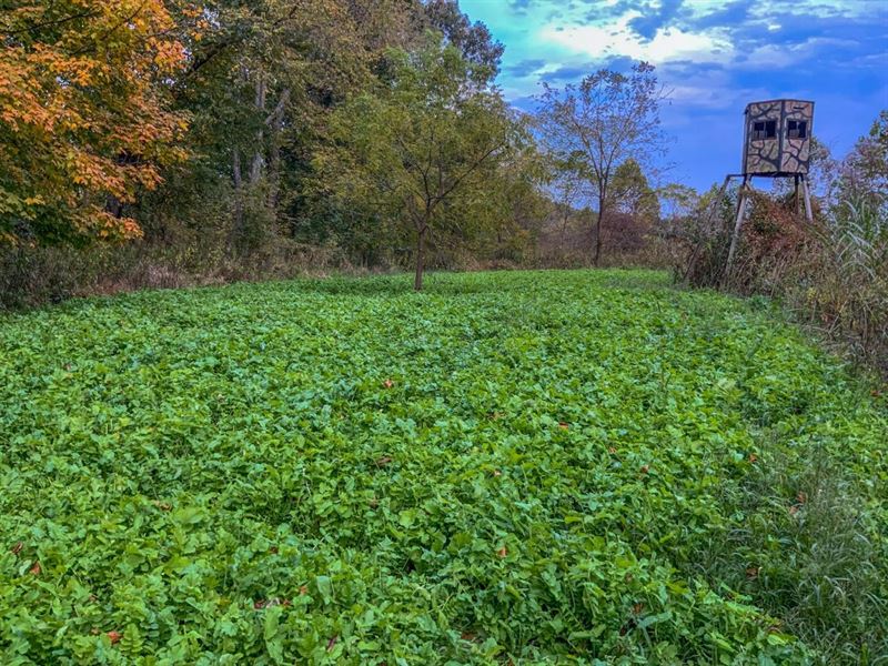 Hamby Hill Rd, 188 Acres, Musking : Frazeysburg : Muskingum County : Ohio