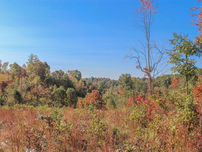 Wolfe Rd, 80 Acres, Jackson Count : Oak Hill : Jackson County : Ohio