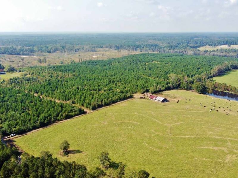 90 Acre Recreational Timberland Inv : Spearsville : Union Parish : Louisiana