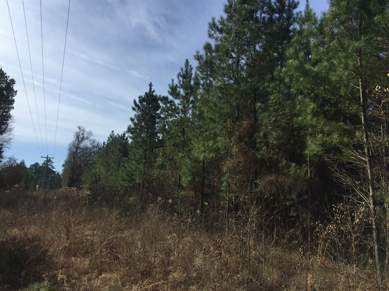 Timbered Home Site Land Acres : Okolona : Clark County : Arkansas