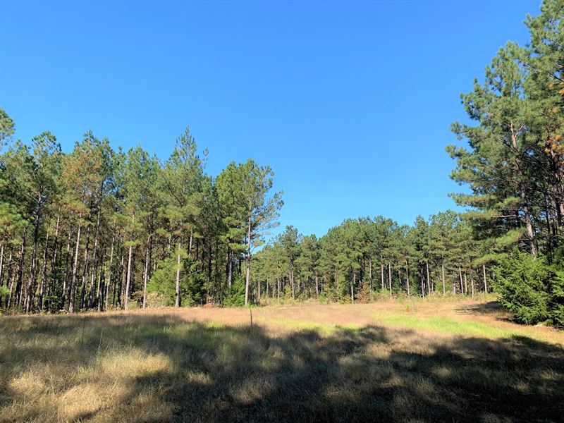 Norman Road Tract : Lincolnton : Lincoln County : Georgia
