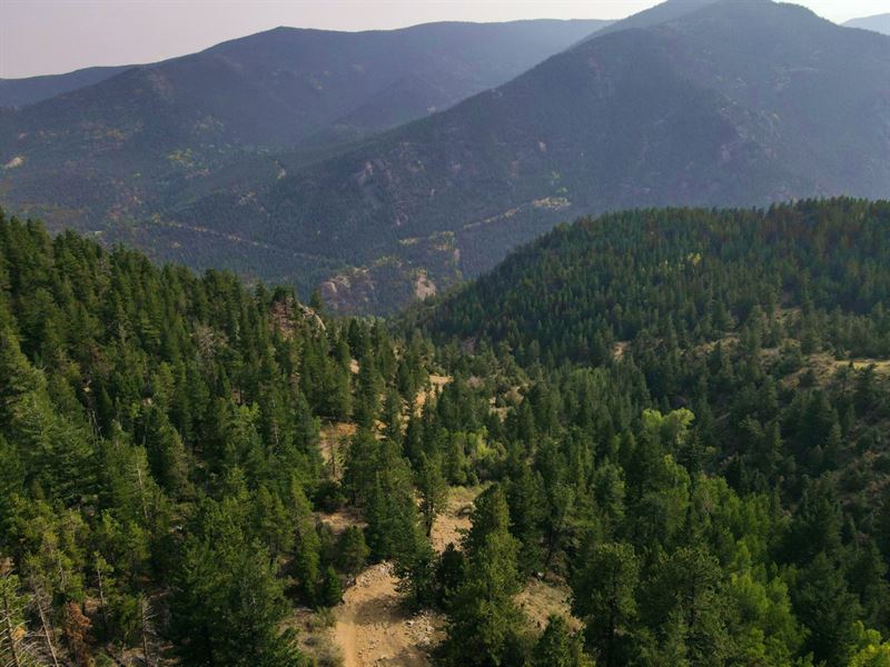 Teller Mining Claim in Lawson, CO : Lawson : Clear Creek County : Colorado