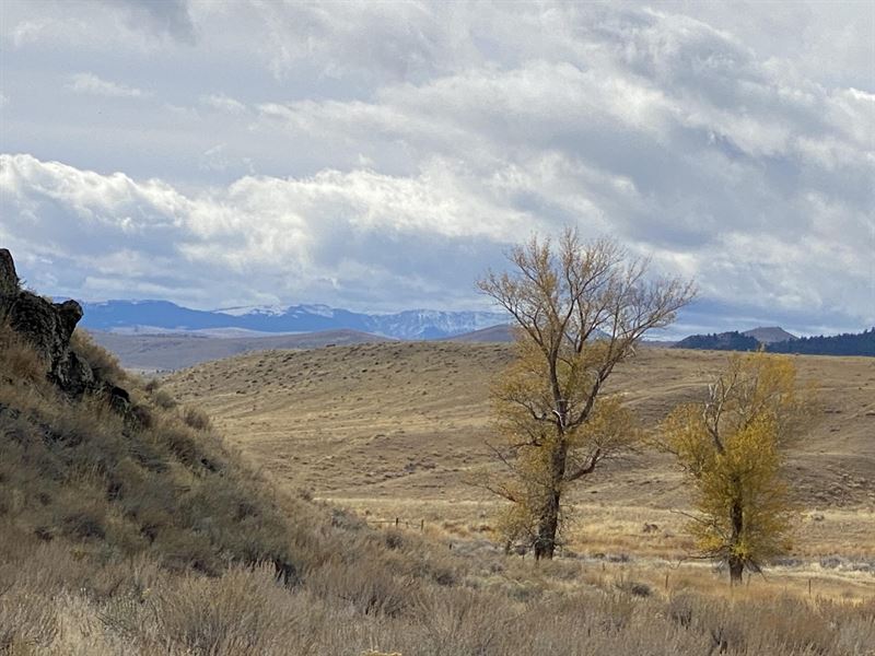 Early Springs Ranch : McAllister : Madison County : Montana