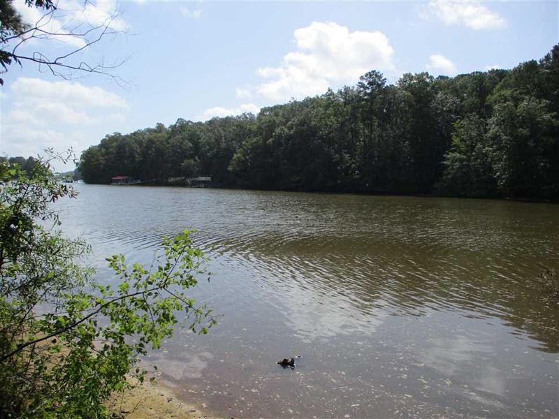 42 Acre Waterfront Property : Eufaula : Barbour County : Alabama