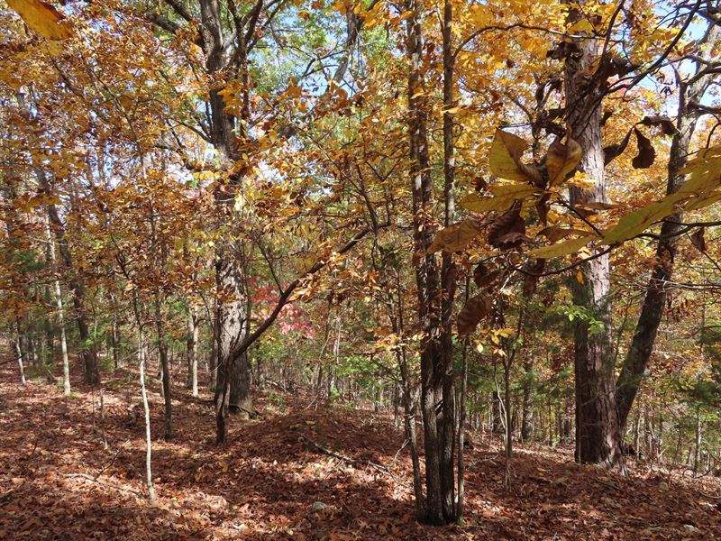 Acreage for Sale in AR : Eureka Springs : Carroll County : Arkansas