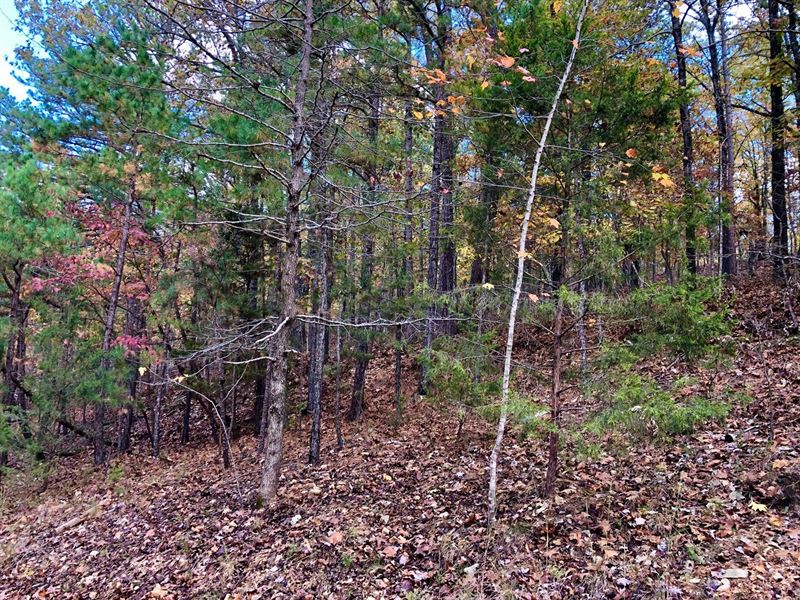 Acreage Near The Lake : Eureka Springs : Carroll County : Arkansas