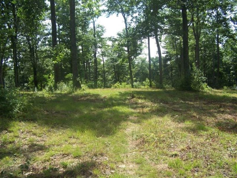 14.32 Acres Land Located Patrick : Meadows Of Dan : Patrick County : Virginia