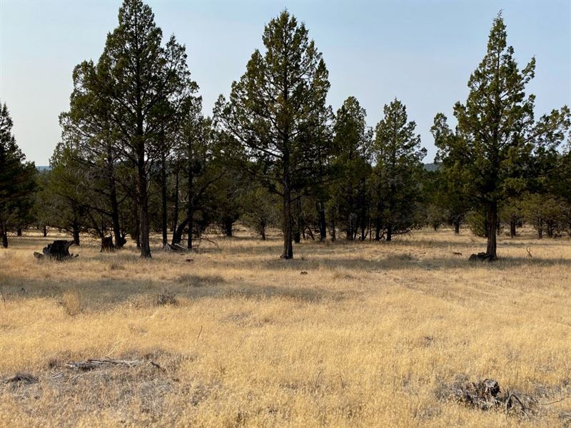Vacant Land for Sale in Alturas, CA : Alturas : Modoc County : California