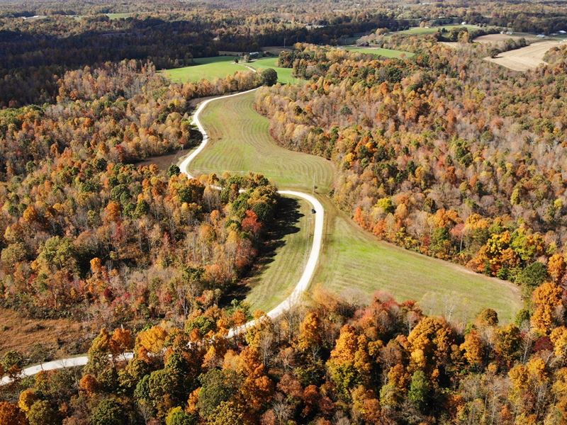 Private, Unrestriced Farm Land : Liberty : Casey County : Kentucky