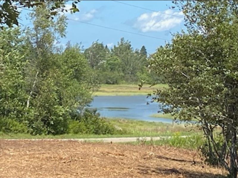 Coastal Waterfront Land for Sale : Addison : Washington County : Maine