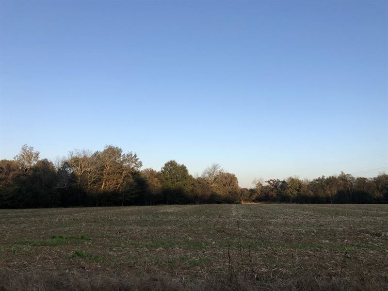 10 Acres in Central Heights : Florence : Lauderdale County : Alabama