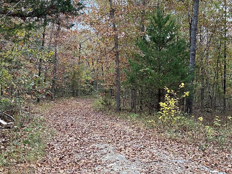 AR Recreational Property Hunting : Ravenden Springs : Randolph County : Arkansas