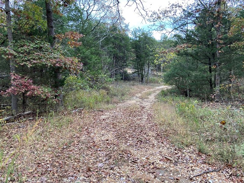 Arkansas Recreational Property : Ravenden Springs : Randolph County : Arkansas