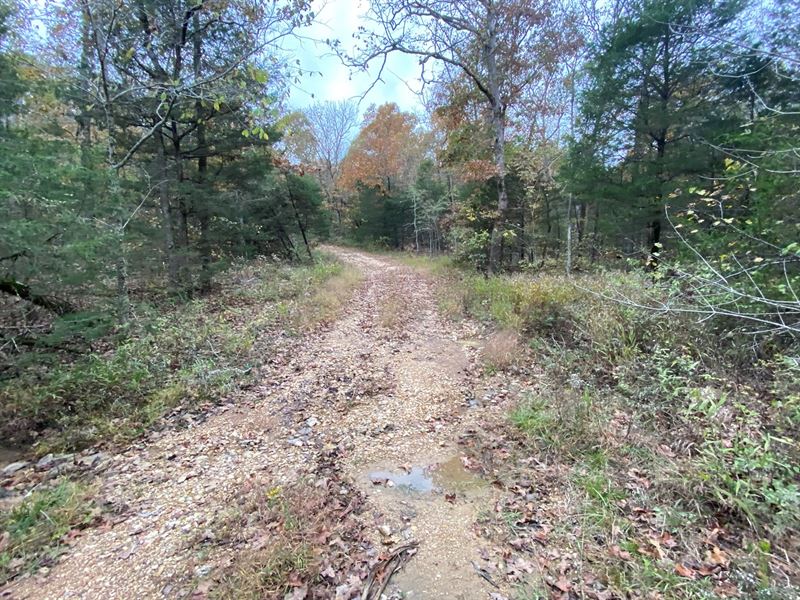 Arkansas Hunting Land 11 Acres : Ravenden Springs : Randolph County : Arkansas